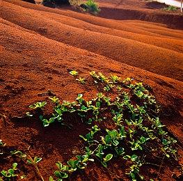 《忍者龙剑传4》新实机演示 高速战斗杀敌很刺激